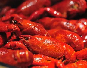 自己在家做好吃的麻辣小龍蝦 美味又安全