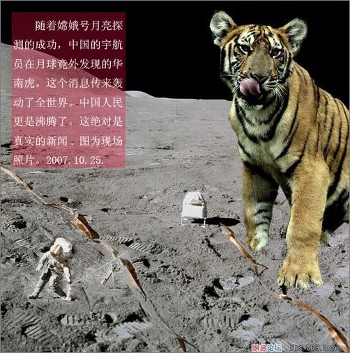 好奇號看到天了？
